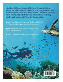 Ein Taucher schwimmt zwischen bunten Fischen im klaren Wasser, umgeben von Korallen. Text erklärt ein Lexikon über Ozeane.