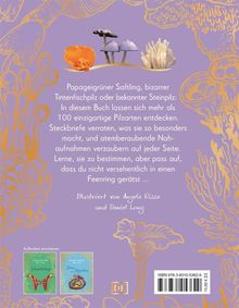 Text über Pilze und Illustrationen. Bunte Pilzzeichnungen auf lilafarbenem Hintergrund mit gelbem Ornament. Unten zwei Buchcover.