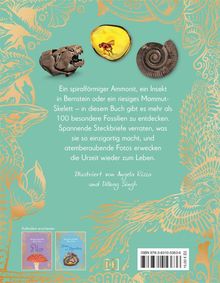 Ein spiralförmiger Ammonit, ein Insekt in Bernstein oder ein riesiges Mammut-Skelett – über 100 Fossilien im Buch.