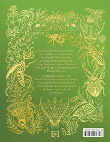 Texte heben Insektenwelt hervor. Illustration zeigt filigrane Insekten und Pflanzen in Goldtönen auf grünem Hintergrund.