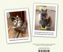 Hilfe, meine Katze ist kaputt, Buch