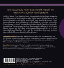 Rückansicht vergrößern