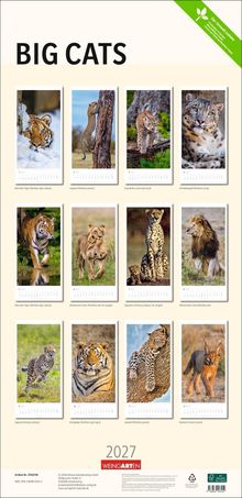 BIG CATS, 2027 Kalender. Bilder von Großkatzen wie Tiger, Leopard und Löwe. WEINGARTEN Logo.