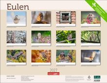 "Eulen", Schneeeule, Steinkauz, Waldohreule. Kalender mit 12 Eulenbildern, darunter Schnee-, Schleier- und Waldkäuze.