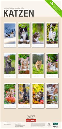 "KATZEN" in großer Schrift, darunter zwölf Fotos von Katzen in verschiedenen Posen. 2027 Kalender.