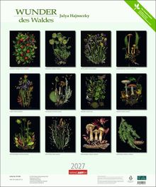 "WUNDER des Waldes Julya Hajnoczky 2027" zeigt zwölf Pflanzen- und Pilzillustrationen mit botanischen Namen.