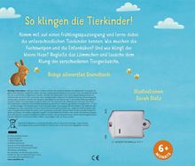 "So klingen die Tierkinder! Babys allererstes Soundbuch. Illustrationen: Sarah Dietz. Für Kinder ab 6+ Monate. Ein Hase mit Biene links unten."