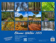 Bäume-Wälder 2025 Großformat-Kalender 58 x 45,5 cm, Kalender