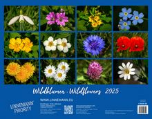 Wildblumen 2025 Großformat-Kalender 58 x 45,5 cm, Kalender