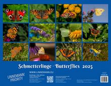 Schmetterlinge 2025 Großformat-Kalender 58 x 45,5 cm, Kalender