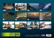 Monate Januar bis Dezember mit Bildern von Fischern und Fischen. Unten steht "RAUBFISCH". Paul Parey Logo.