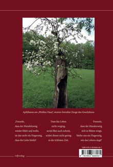 Apfelbaum am „Weißen Haus“, stumm-bereder Zeuge des Geschehens. Ein blühender Baumstamm auf einer Wiese im Wald.