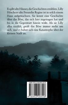 Helmut Exner: Das Böse über der kleinen Stadt, Buch