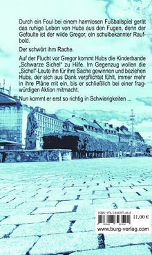 Siegfried Michl: Hubs und die schwarze Sichel, Buch