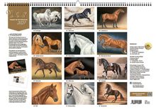 "Vererber Legenden 2027; 01 - Carthago; 02 - Total Hope; 03 - Ladykiller xx; 04 - Golden Dancer; 05 - Dacaprio; 06 - Baloubet du Rouet." 

Illustration eines Kalenders mit Pferdebildern.