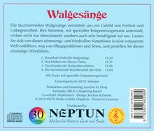 Walgesänge (mit spezieller Entspannungsmusik), CD
