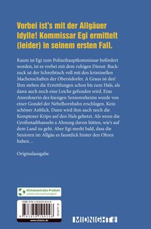 Nicki Fleischer: Nebelhorn, Buch