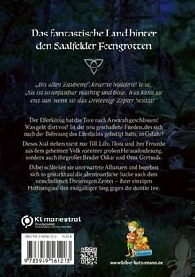 Elisabeth Schieferdecker: Das dreieinige Zepter von Arwarah, Buch