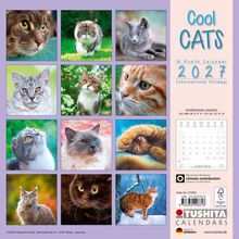 "Cool Cats 2027", ein 16-Monatskalender mit Katzenfotos in einem Raster. Enthält internationale Feiertage.