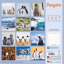 "Penguins" und "16 Month Calendar 2027 International Holidays". Fotos von Pinguinen in verschiedenen Landschaften.
