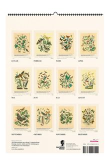 Ein Kalender. Jeder Monat zeigt eine botanische Illustration mit Schmetterlingen. Texte: Januar bis Dezember.