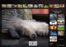 15% Rabatt-Code: GPF-2027. Kontaktinformationen zu GP-Fever.de. Mehrere Katzenfotos und Kalenderangebote.