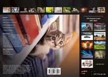 15% Rabatt-Code: GPF-2027. Ein Kätzchen schaut neugierig zwischen Büchern hervor. Oben Fotos mehrerer Kätzchen.
