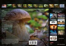 15% Rabatt-Code: GPF-2027. Großer Pilz im Wald, umgeben von herbstlichen Blättern. Oben kleine Wald- und Naturbilder.