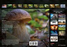 Kontaktdaten und Bildmaterialhinweise. 15% Rabatt-Code: GPF-2027. Große Nahaufnahme eines Pilzes im Wald. Oben kleine Landschaftsbilder.