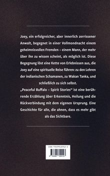 Der Text beschreibt Joey, einen Anwalt, der durch mysteriöse Begegnungen auf eine spirituelle Reise zu sich selbst geführt wird.