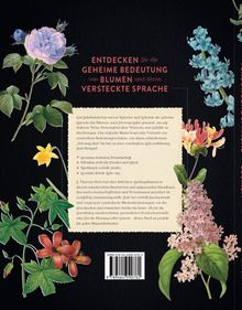 Rückansicht vergrößern