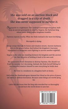 Rückseite eines Buchs mit einem Text über ein Königreich voller Schatten und Dunkelheit; erwähnt wird Fayenna, Styros und Necropolis.
