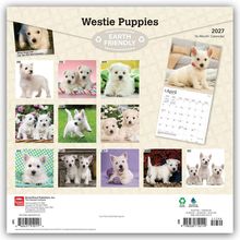 „Westie Puppies“, „EARTH FRIENDLY“, „2027, 16-Month Calendar“. Zwölf Fotos von Westie-Welpen in verschiedenen Szenen.