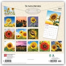 „Sunflowers“, „EARTH FRIENDLY“, 2027, 16-Month Calendar. Zwölf Sonnenblumenbilder für jeden Monat.
