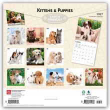 „Kittens & Puppies“, „EARTH FRIENDLY“, „2027“. Kalenderbilder mit spielenden Kätzchen und Welpen, Monatsübersicht April.