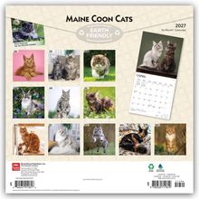 "Maine Coon Cats", "EARTH FRIENDLY", "JAN" bis "DEC" neben Katzenfotos, "2027", "16-Month Calendar".