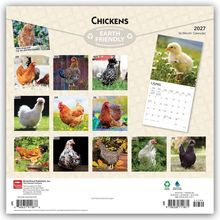 Kalender "Chickens" 2027, 16 Monate. Verschiedene Hühnerbilder für jeden Monat. "Earth Friendly" Logo oben.