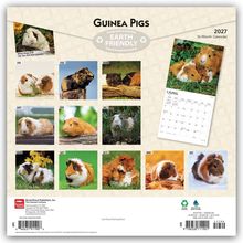 "Guinea Pigs 2027 Kalender, Earth Friendly. Fotos von Meerschweinchen für jeden Monat. April-Kalenderblatt sichtbar."