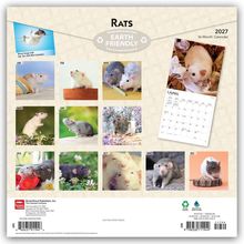 Text: Rats, Earth Friendly, 2027, 16-Month Calendar. Bild von zwölf Ratten, jeweils eine pro Monat. Januarbis Dezember.