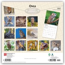 "Owls", "EARTH FRIENDLY", Monatsnamen und verschiedene Eulenarten werden gezeigt. Kalender 2027 mit Eulenfotos.
