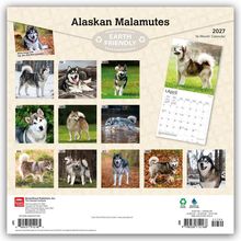 "Alaskan Malamutes", "16-Month Calendar", "2027". 12 Fotos von Alaskan Malamutes mit monatlichen Kalendervorschauen.