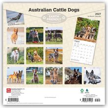 "Australian Cattle Dogs", "Earth Friendly", Kalender 2027 mit 16 Monaten. Verschiedene Bilder von Hunden in jedem Monat.