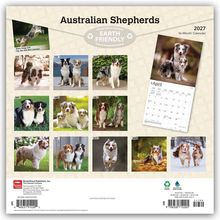 „Australian Shepherds“ oben, „EARTH FRIENDLY“, „2027“, „April“. Bilder von Hunden für jeden Monat auf einem Kalender.