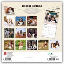 "Basset Hounds", "2027", "16-Month Calendar", "EARTH FRIENDLY". Zwölf Fotos von Basset-Hunden zu verschiedenen Monaten.