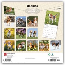 "Beagles", "Earth Friendly", "2027", "16-Month Calendar". Zwölf Monatsbilder von Beagles in verschiedenen Landschaften.