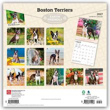 „Boston Terriers“, „EARTH FRIENDLY“, „2027 16-Month Calendar“. Zwölf Fotos von Boston Terriers in verschiedenen Posen.