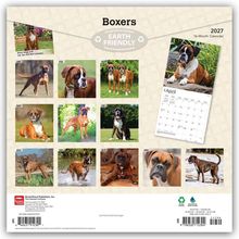 Boxers 2027, Earth Friendly, Januar bis Dezember Boxerkalender. Eingerahmt mit Bildern von Boxern in verschiedenen Szenen.