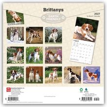 "Brittanys", "Earth Friendly", abgebildeter 16-Monats-Kalender 2027. Fotos von Hunden in verschiedenen Landschaften.