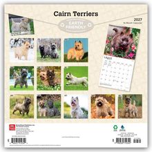 "Cairn Terriers 2027 16-Month Calendar" steht oben, darunter Bilder von Cairn Terriern für jeden Monat.