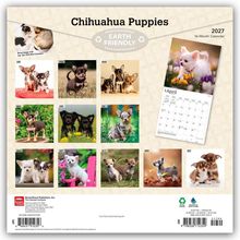 „Chihuahua Puppies“, Earth Friendly 2027 Kalender. Jede Monatsseite zeigt süße Chihuahua-Welpen in verschiedenen Szenen.
